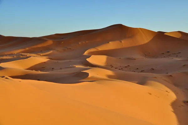Merzouga desert in Morocco — Stock Photo, Image
