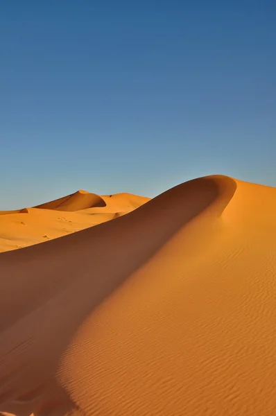 在摩洛哥的梅尔祖加沙漠 — 图库照片