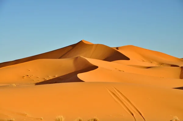 Merzouga Marokkó-sivatagban — Stock Fotó