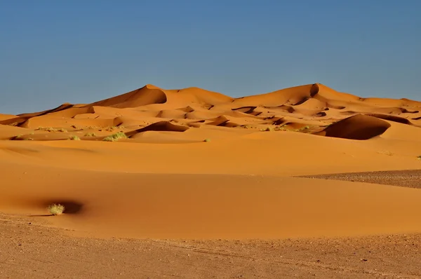 Merzouga Marokkó-sivatagban — Stock Fotó