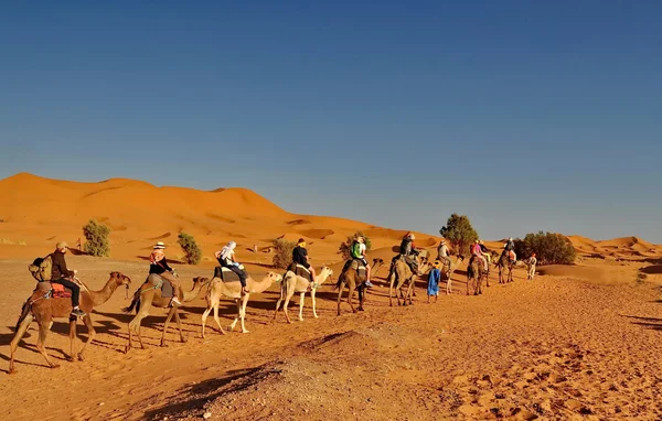 MERZOUGA DESERT - 01 DE OCTUBRE: Turistas en caravana de camellos en Mer — Foto de Stock