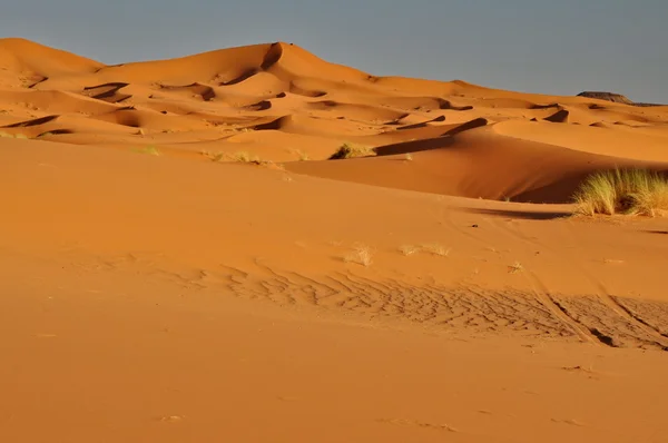 在摩洛哥的梅尔祖加沙漠 — 图库照片