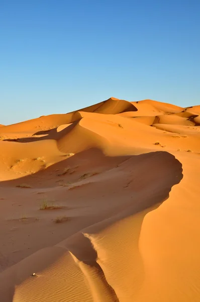 Merzouga pustyni w Maroko — Zdjęcie stockowe