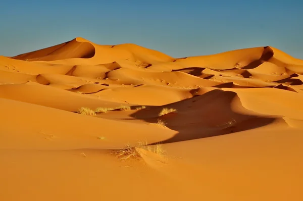 Merzouga desert in Morocco — Stock Photo, Image