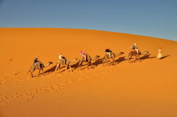 MERZOUGA DESERT - 01 OTTOBRE: Turisti in una carovana di cammelli a Mer — Foto Stock