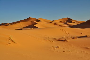 Merzouga desert in Morocco clipart