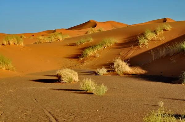 Desierto de Merzouga en Marruecos — Foto de Stock