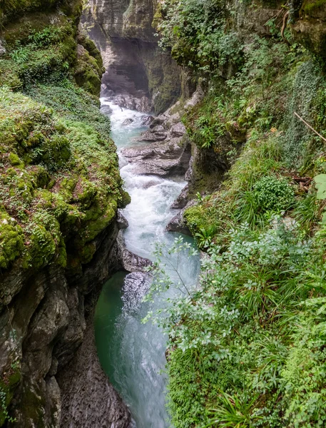 Kaňon Martvili v Georgii. Krásný přírodní kaňon s horskou řekou. — Stock fotografie