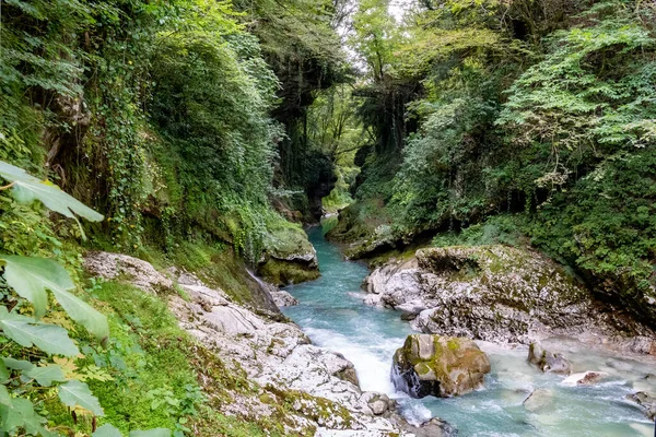 Martvili Kanjon Georgien Vacker Naturlig Kanjon Med Bergsflod — Stockfoto