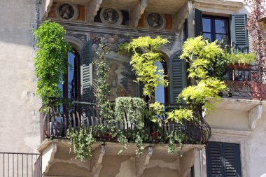 yeşil bitkilerin Verona balkonlar