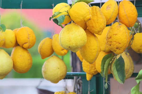 Giant lemons on a market stall — Stock Photo, Image