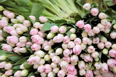 Pembe Çiçek çiçekçi