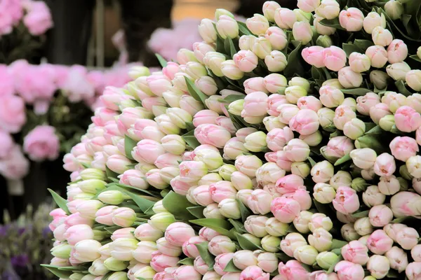 Big bunch of cut pink tulips — Stock Photo, Image