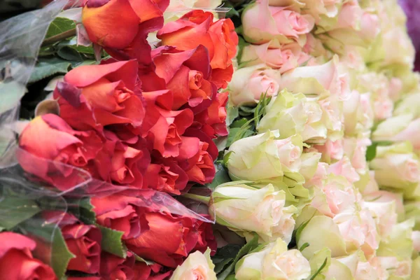 Big bunch of white and red roses — Stock Photo, Image