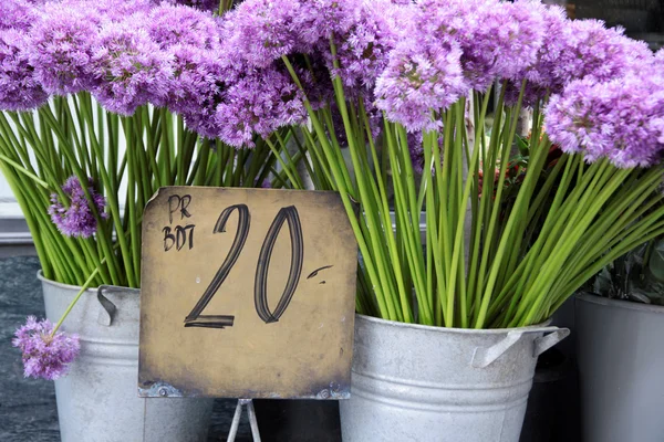 Lila blommor i en blomsteraffär — Stockfoto