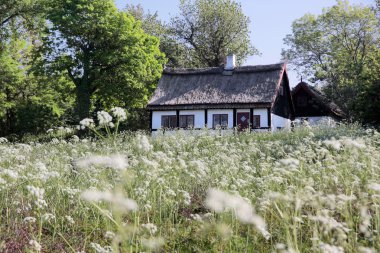 pastoral thatched yazlık