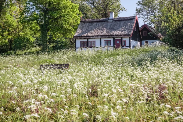 Idillikus vidéki ház — Stock Fotó