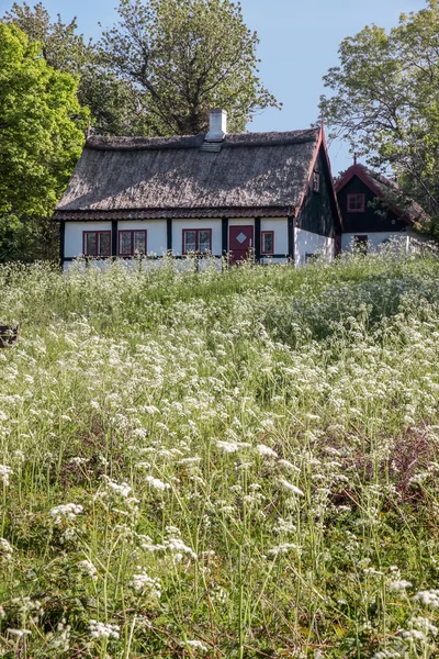 Idilli nádtetős cottage-ház — Stock Fotó