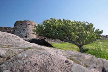 Hammershus kale harabe