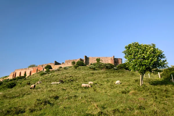 Hammershus castelo ruína — Fotografia de Stock