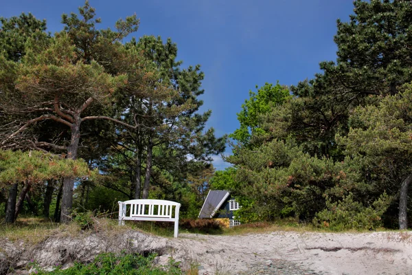 Bench at the beach on Bornholm — Stock Photo, Image