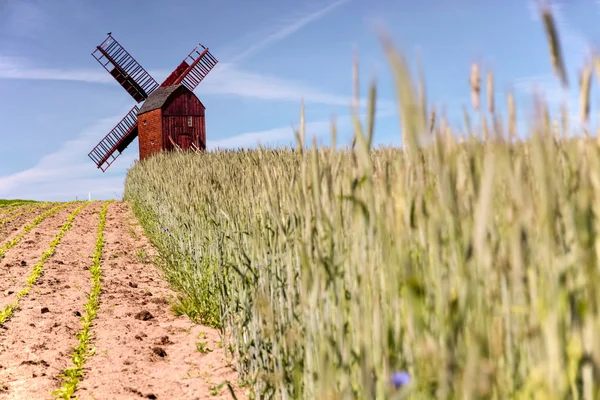 Molino de Traebene Molino de viento con campos verdes —  Fotos de Stock