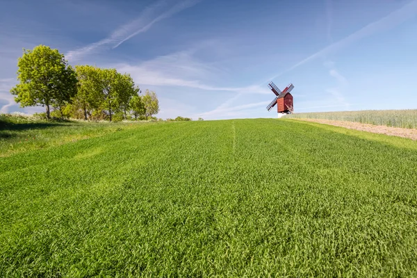 Molino de Traebene Molino de viento con campos verdes —  Fotos de Stock