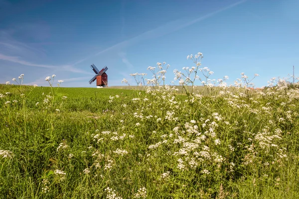 Mulino Traebene Mulino a vento con campi verdi — Foto Stock