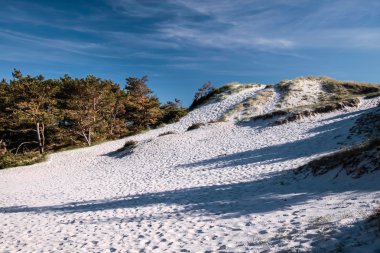 bornholm south coast üzerinde beyaz kumlu plaj