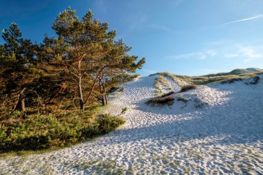 bornholm üzerinde beyaz kumlu plaj