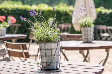 tuin restaurant in het park