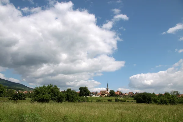 Dorp met wijngaarden — Stockfoto