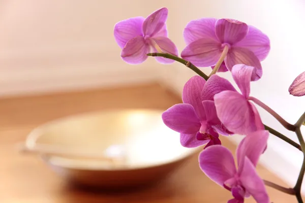 Růžová orchidej a zlatá zpívající mísa — Stock fotografie