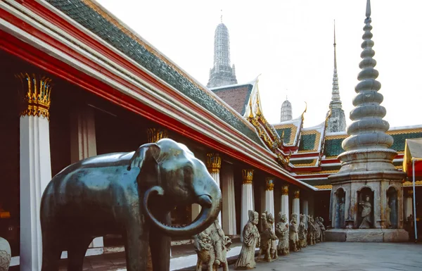 Slon v buddhistickém chrámu — Stock fotografie