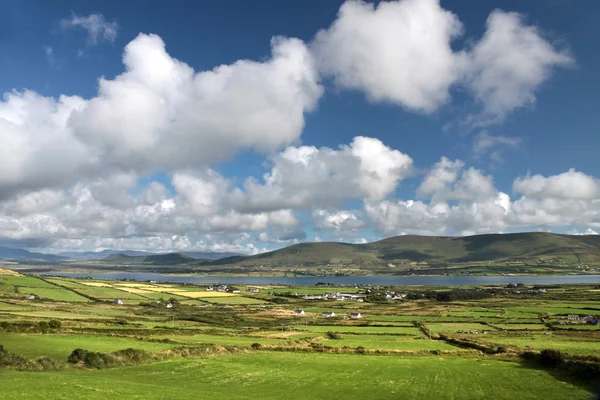 Scenic pasture landscape — Stock Photo, Image