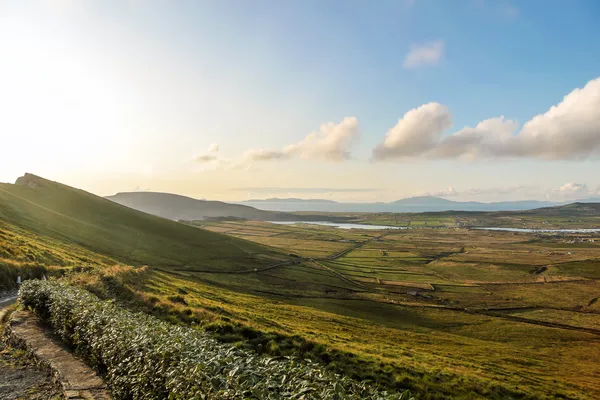 Portmagee yakınlarındaki otlak arazisi — Stok fotoğraf