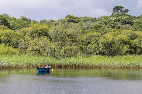 Barco de remos en un lago tranquilo —  Fotos de Stock