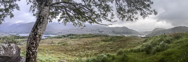 Landscape panorama at Ladies View — Stock Photo, Image
