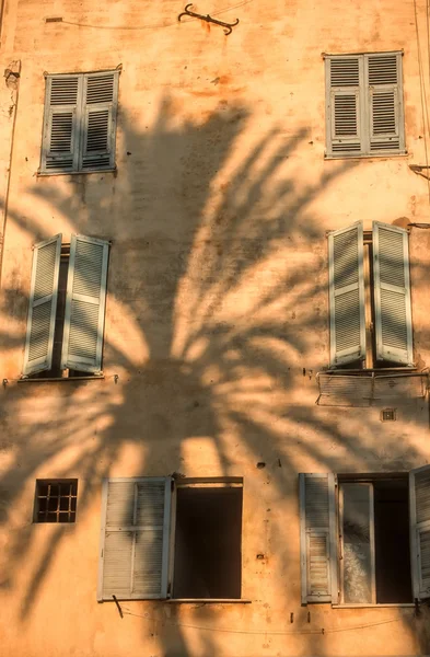 Sombra de una palmera en casa vieja en Menton — Foto de Stock