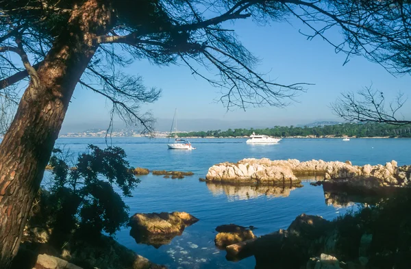 Ακτή της το ile Αγίου honorat — Φωτογραφία Αρχείου