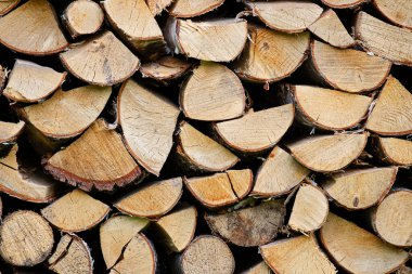 Yakına yığılmış yakacak odunlar.