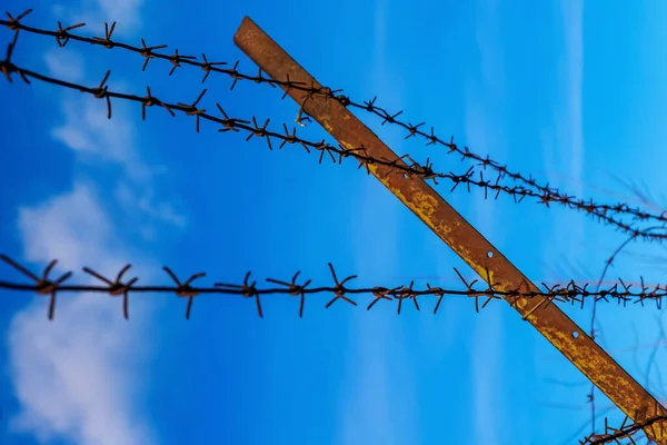 Barbed Wire Fringe Clear Blue Sky — Stockfoto