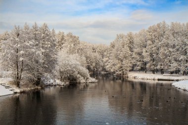 Kışın karla kaplı ağaçlarla dolu bir park. Svisloch Nehri