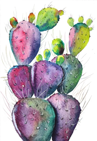 Cactus White Watercolor Botanical Illustration — Foto Stock