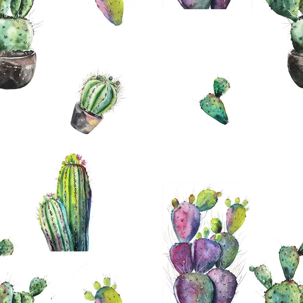 Motif Cactus Sur Aquarelle Blanche Illustration Botanique Photos De Stock Libres De Droits
