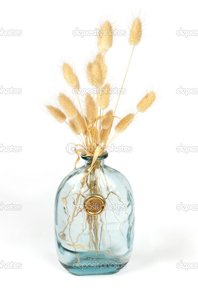 Bunny tail grass in a vase