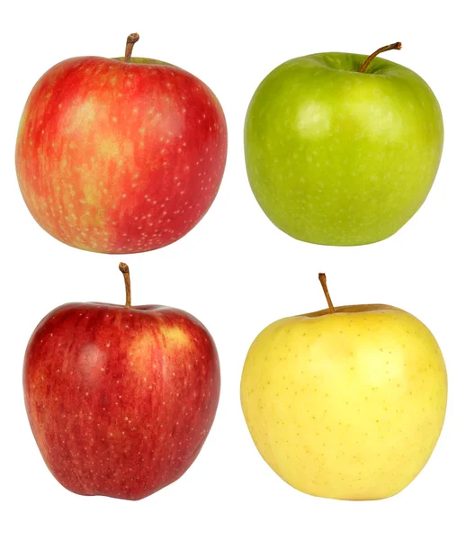 Cuatro manzanas sobre fondo blanco —  Fotos de Stock