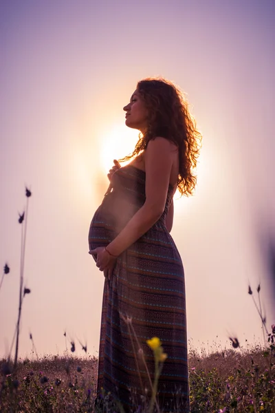 silhouette of a pregnant woman at sunset