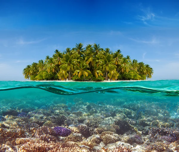 Coral reef and the Island — Stock Photo, Image