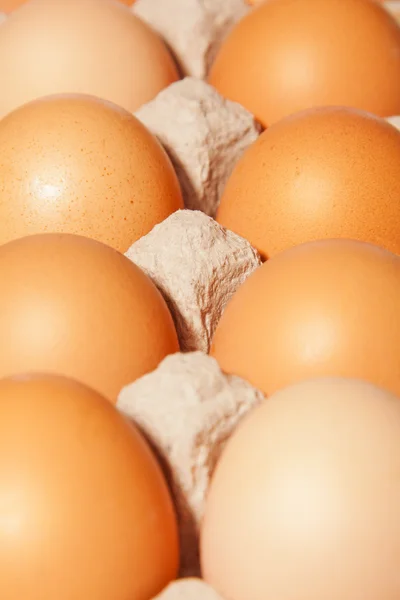 Egg box close up — Stock Photo, Image